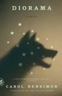 Carol Bensimon: Diorama, Buch