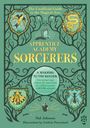 Hal Johnson: Apprentice Academy: Sorcerers, Buch
