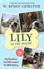 W Bruce Cameron: Lily to the Rescue Bind-Up Books 4-6, Buch