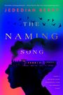 Jedediah Berry: The Naming Song, Buch