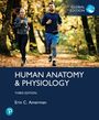 Erin Amerman: Human Anatomy & Physiology, Global Edition, Buch