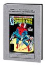 Bill Mantlo: Marvel Masterworks: The Spectacular Spider-Man Vol. 6, Buch
