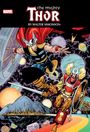 Walt Simonson: Thor by Walter Simonson Omnibus Simonson Thor & Balder the Brave Cover [New Prin Ting 2], Buch