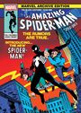 Tom Defalco: Marvel Archive Edition: Amazing Spider-Man - The Black Costume: Year One Gallery Edition Ron Frenz Original First Issue Cover, Buch