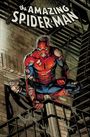 "The Amazing Spider-Man" steht groß. Ein zerschlissener Spider-Man sitzt angespannt auf einer Feuerleiter in einem dunklen Innenhof.