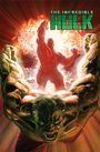Jeph Loeb: Hulk Modern Era Epic Collection: Code Red, Buch