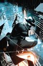 Erik Larsen: Spider-Man Noir, Buch