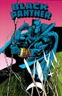 Ed Hannigan: Black Panther: Panther's Prey Omnibus, Buch