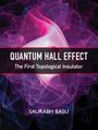 Saurabh Basu: Quantum Hall Effect, Buch