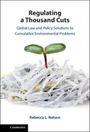 Rebecca Nelson: Regulating a Thousand Cuts, Buch