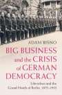 Adam Bisno: Big Business and the Crisis of German Democracy, Buch