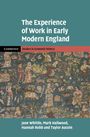 Hannah Robb: The Experience of Work in Early Modern England, Buch