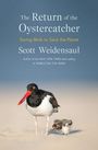 Scott Weidensaul: The Return of the Oystercatcher, Buch