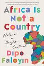 Dipo Faloyin: Africa Is Not a Country, Buch