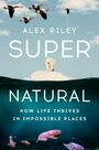 Alex Riley: Super Natural, Buch