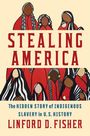 Linford D Fisher: Stealing America, Buch