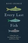 "Every Last Fish" von Rose George. Drei bunte, gezeichnete Fische in einer Reihe, dunkelblauer Hintergrund.
