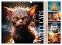 Melanie Viola: WITTY CATS Cool sayings (Wall Calendar 2025 DIN A3 landscape), CALVENDO 12 Month Wall Calendar, KAL