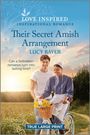 Lucy Bayer: Their Secret Amish Arrangement, Buch