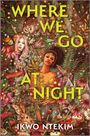 Ikwo Ntekim: Where We Go at Night, Buch