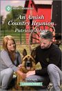 Patricia Johns: An Amish Country Reunion, Buch