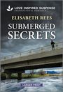 Elisabeth Rees: Submerged Secrets, Buch