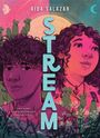 Aida Salazar: Stream, Buch