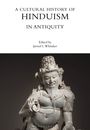 A Cultural History of Hinduism in Antiquity, Buch