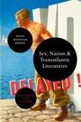 Agata Szczeszak-Brewer: Sex and Nation in Transatlantic Literatures, Buch