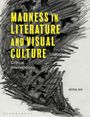 : Madness in Literature and Visual Culture, Buch