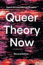 Hannah McCann: Queer Theory Now, Buch
