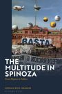 Gonzalo Ricci Cernadas: The Multitude in Spinoza, Buch