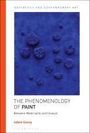 Adam Geczy: The Phenomenology of Paint, Buch