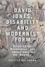 Colette Nic Aodha: David Jones, Disability and Modernist Form, Buch