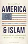 Lawrence Pintak: America & Islam, Buch