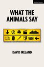 „WHAT THE ANIMALS SAY“ und „DAVID IRELAND“ steht auf dem Cover. Gelbe Tafel mit Symbolen darunter.