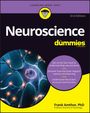 Frank Amthor: Neuroscience For Dummies, Buch