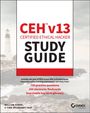 CEH v13 Certified Ethical Hacker Study Guide. Küstenlandschaft mit Leuchtturm und Felsen im Hintergrund.