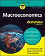 "Macroeconomics for Dummies, 2nd U.S. Edition." Globale Vernetzung auf dunklem Hintergrund; Autoren: Richards, Rashid, Antonioni.