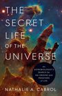 Nathalie A. Cabrol: The Secret Life of the Universe, Buch