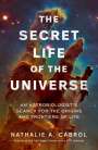Nathalie A. Cabrol: The Secret Life of the Universe, Buch