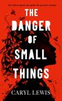 Caryl Lewis: The Danger of Small Things, Buch