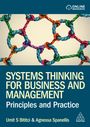 Umit S. Bititci: Systems Thinking for Business and Management: Principles and Practice, Buch