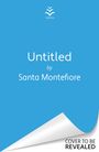 Santa Montefiore: Secrets of the Starlit Sea, Buch