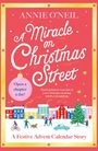 "Buchtitel: 'A Miracle on Christmas Street'. Weihnachtsillustration mit Menschen, Häusern, einem Baum und Hund im Schnee."