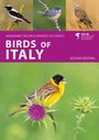 Marianne Taylor: Birds of Italy, Buch