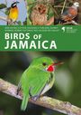 Text: "Birds of Jamaica" und Autoren. Vier Vögel, inklusive eines leuchtend grünen mit rotem Fleck am Hals.