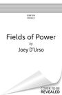 "Fields of Power by Joey D’Urso" in schwarzem Text vor weißem Hintergrund, oben Streifenmuster, unten Ecke umgeblättert.