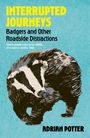 "Interrupted Journeys: Badgers and Other Roadside Distractions" von Adrian Potter. Illustration eines Dachses auf blauem Hintergrund.