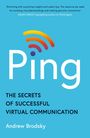 Andrew Brodsky: Ping, Buch
